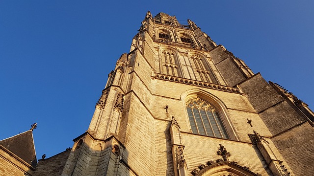 Effectieve strategieën voor linkbuilding in Breda